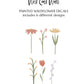 Painted Wildflower Wall Decals