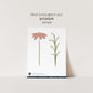 Painted Wildflower Wall Decals