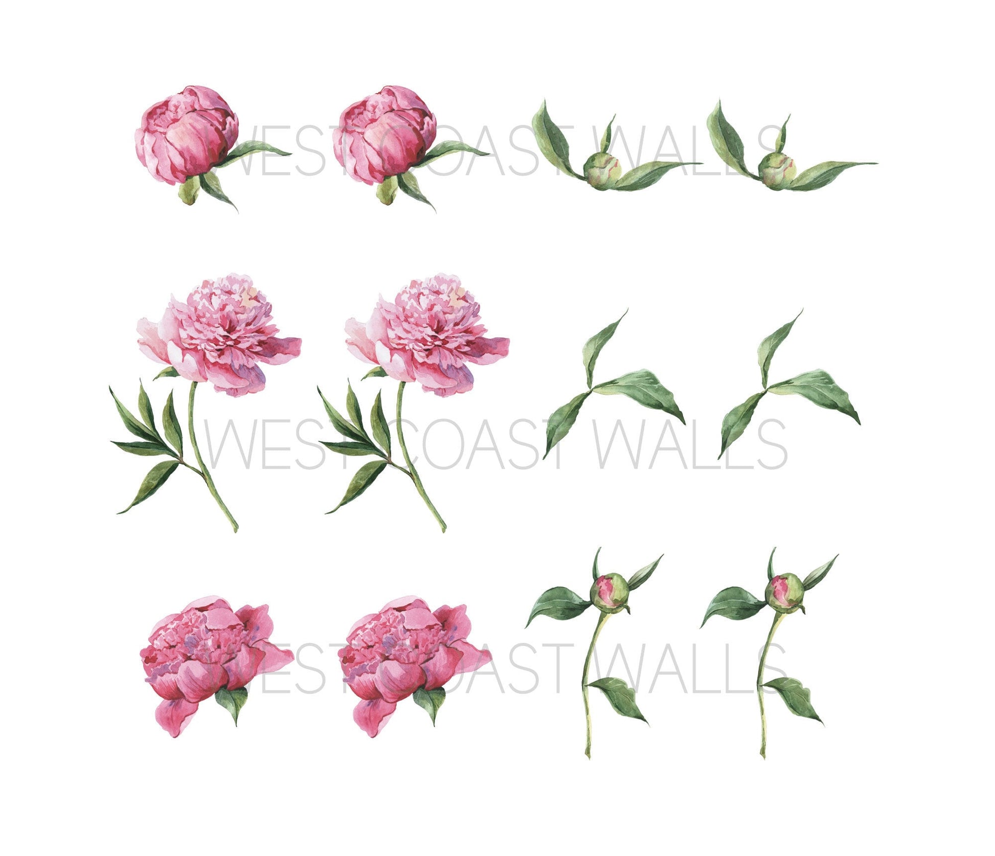 Watercolor Peony Removable Decals